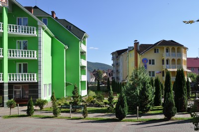 «Квітка Закарпаття»